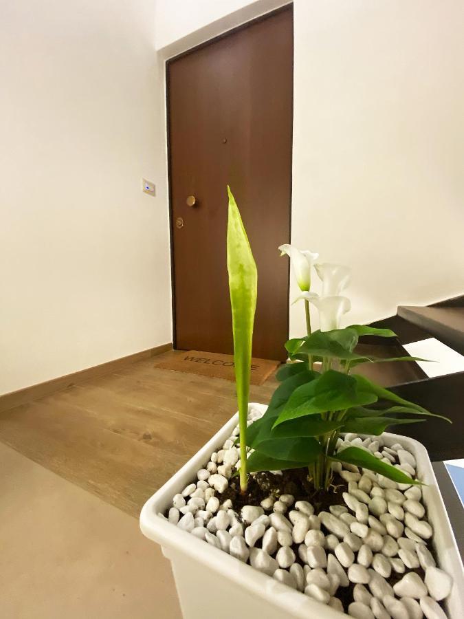 White Home Bisceglie Exterior foto